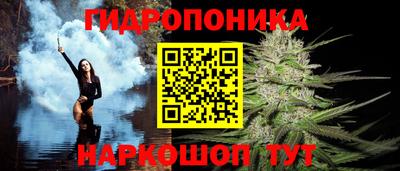 прущие крисы Новозыбков